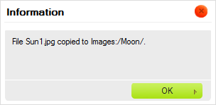 Plik skopiowany w CKFinderze