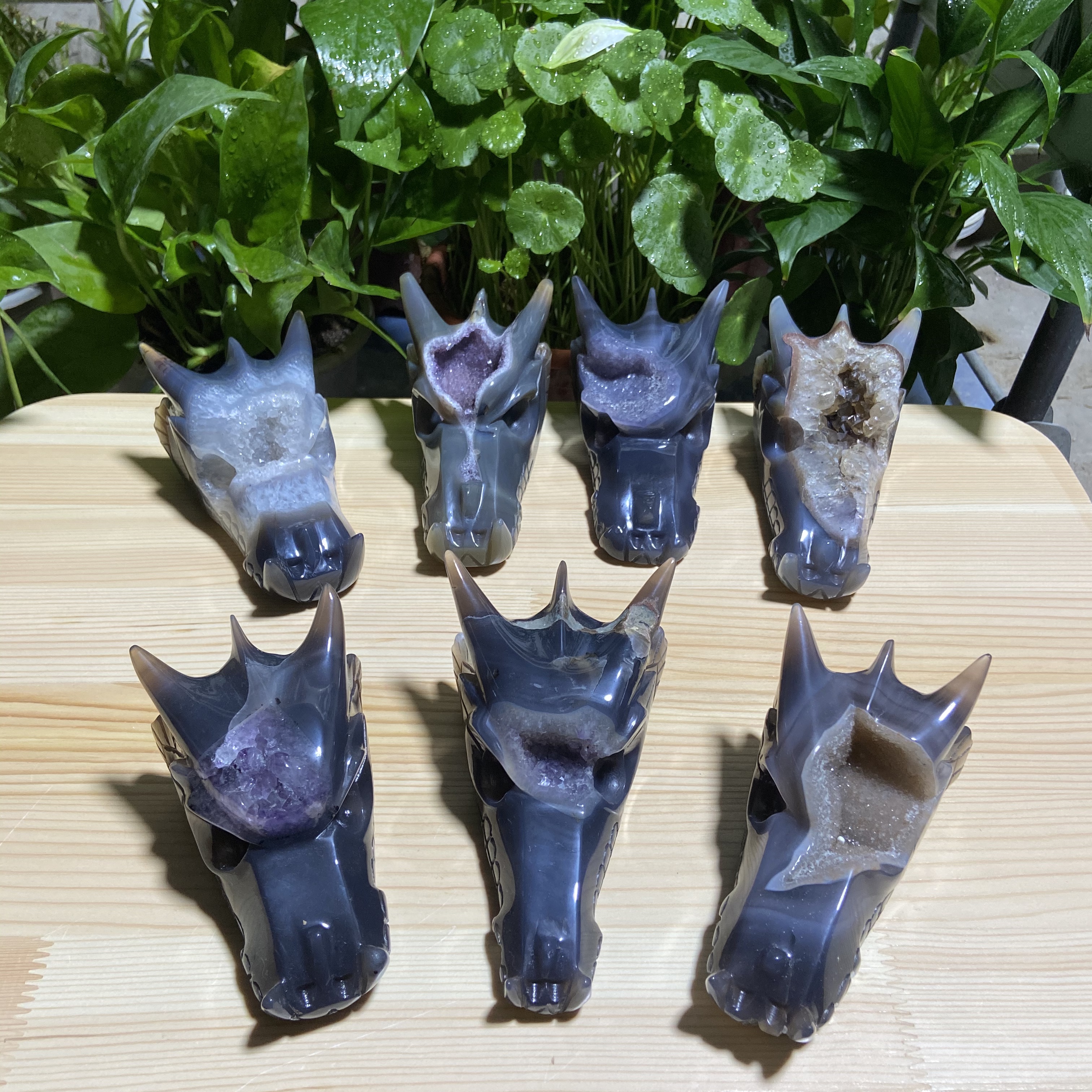 agate dragon skulls
