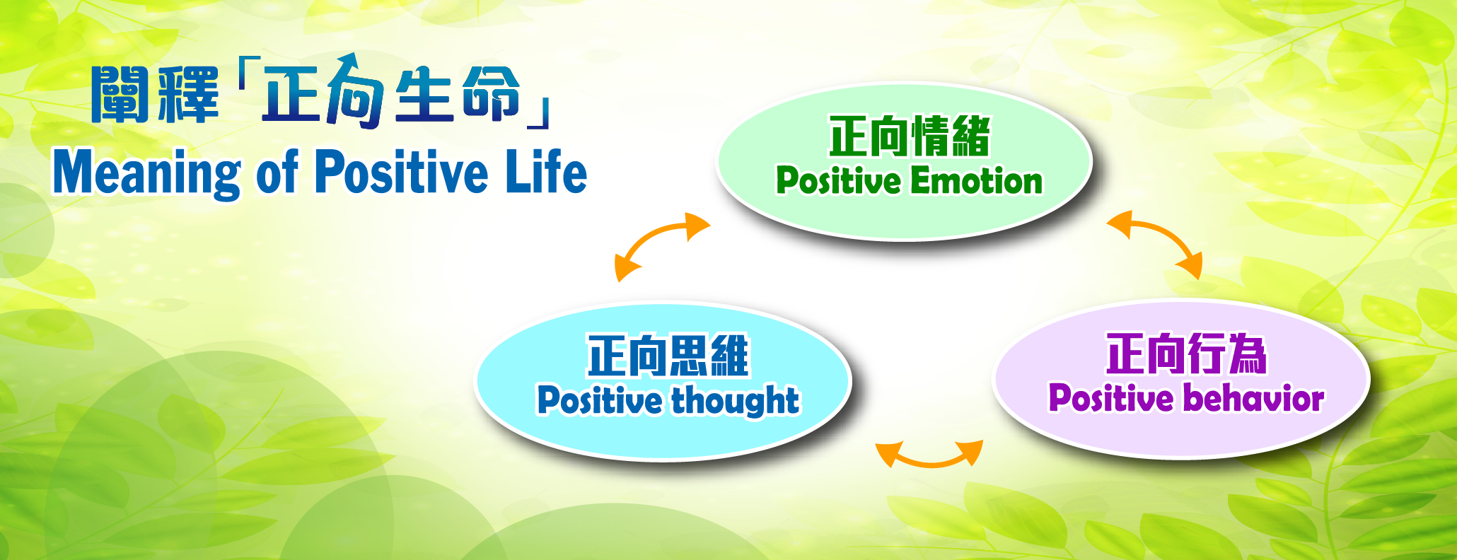 闡釋「正向生命」
