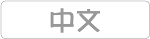 中文